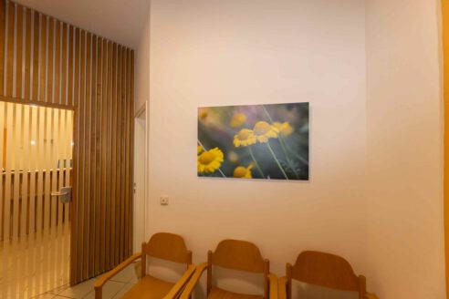 Bild im Wartebereich